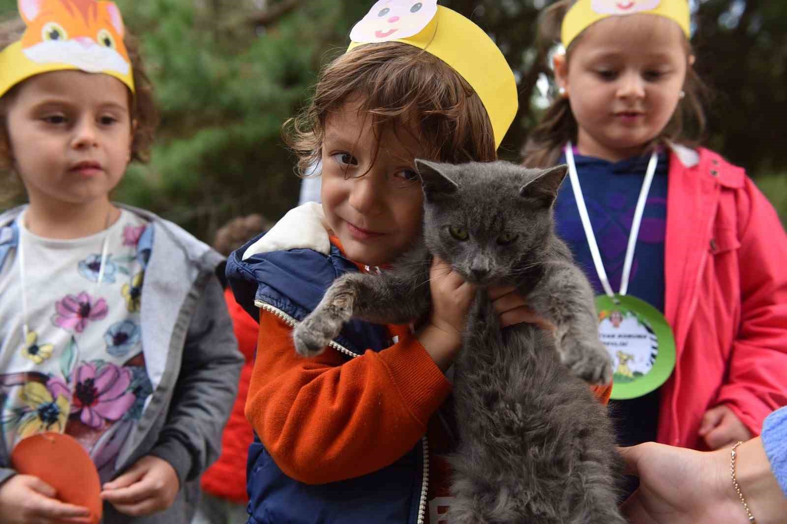 Yıldırım Belediyesi’nden sokak hayvanlarına sıcak yuva