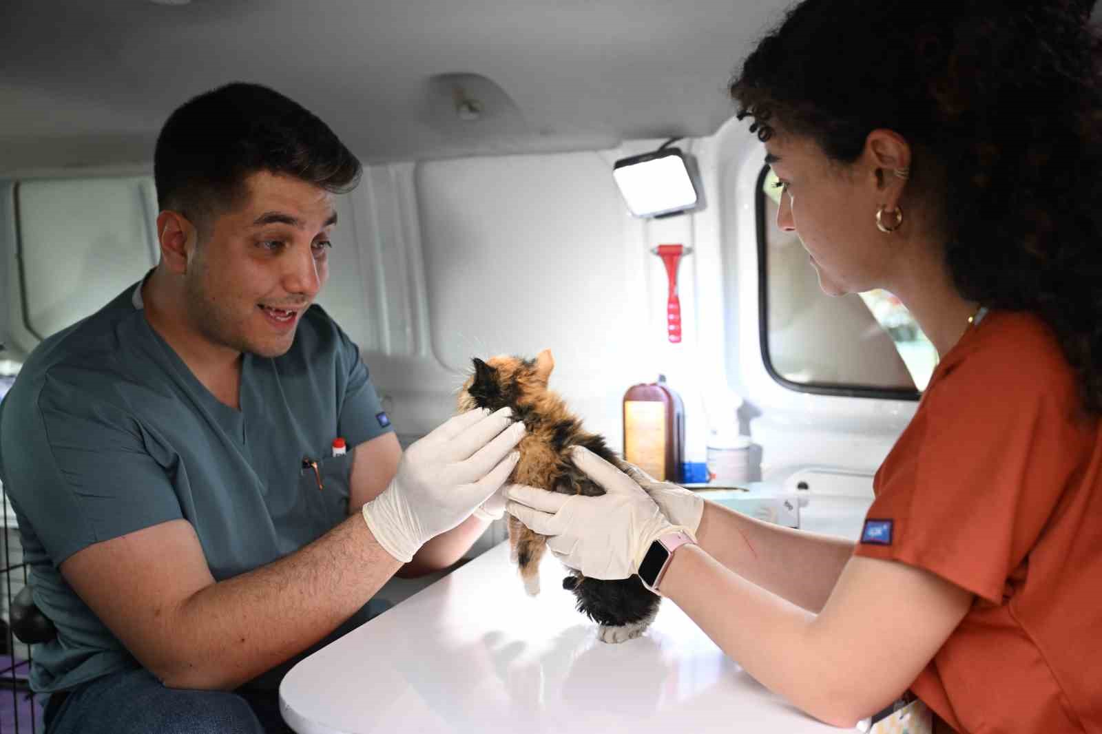 Yıldırım Belediyesi’nden sokak hayvanlarına sıcak yuva