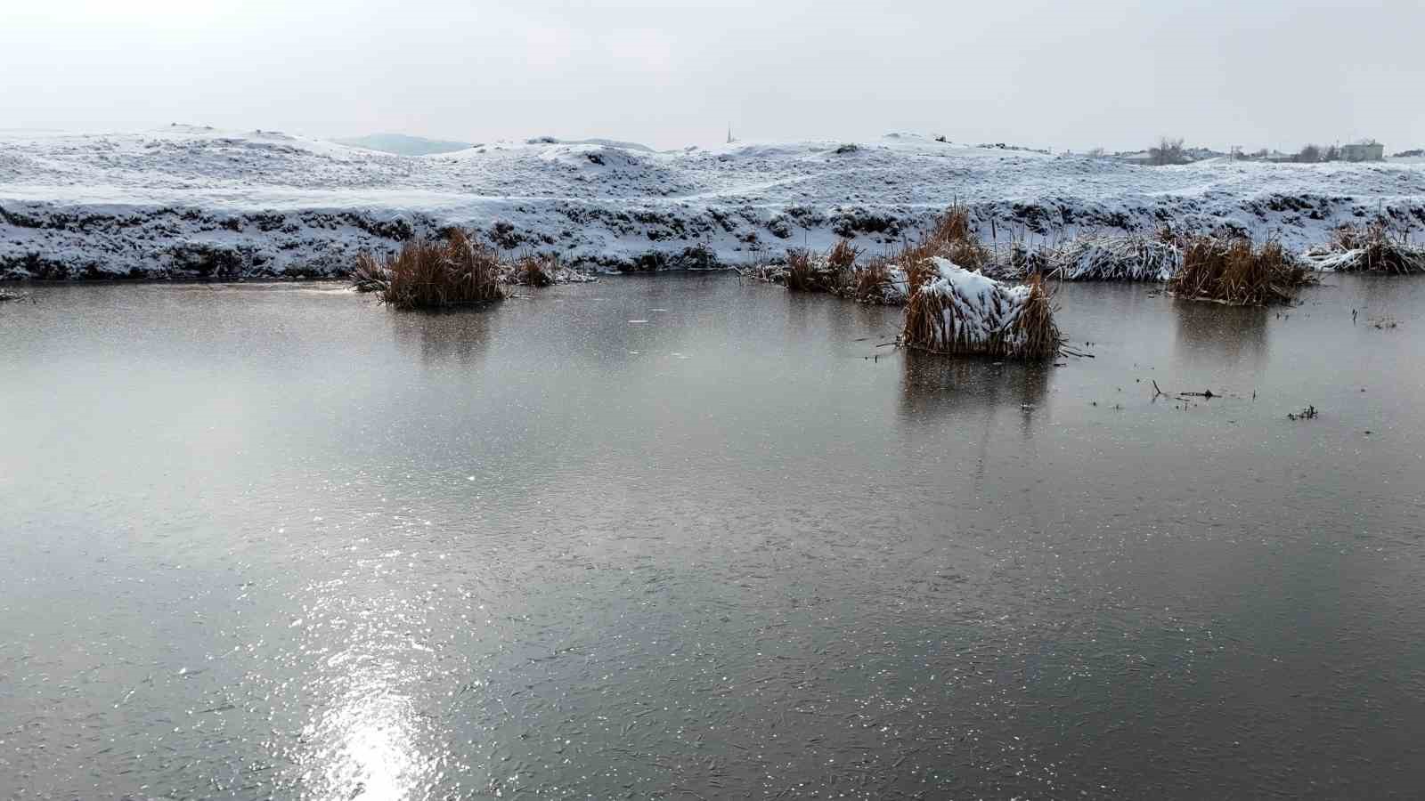 Yazın safari kışın buz pisti