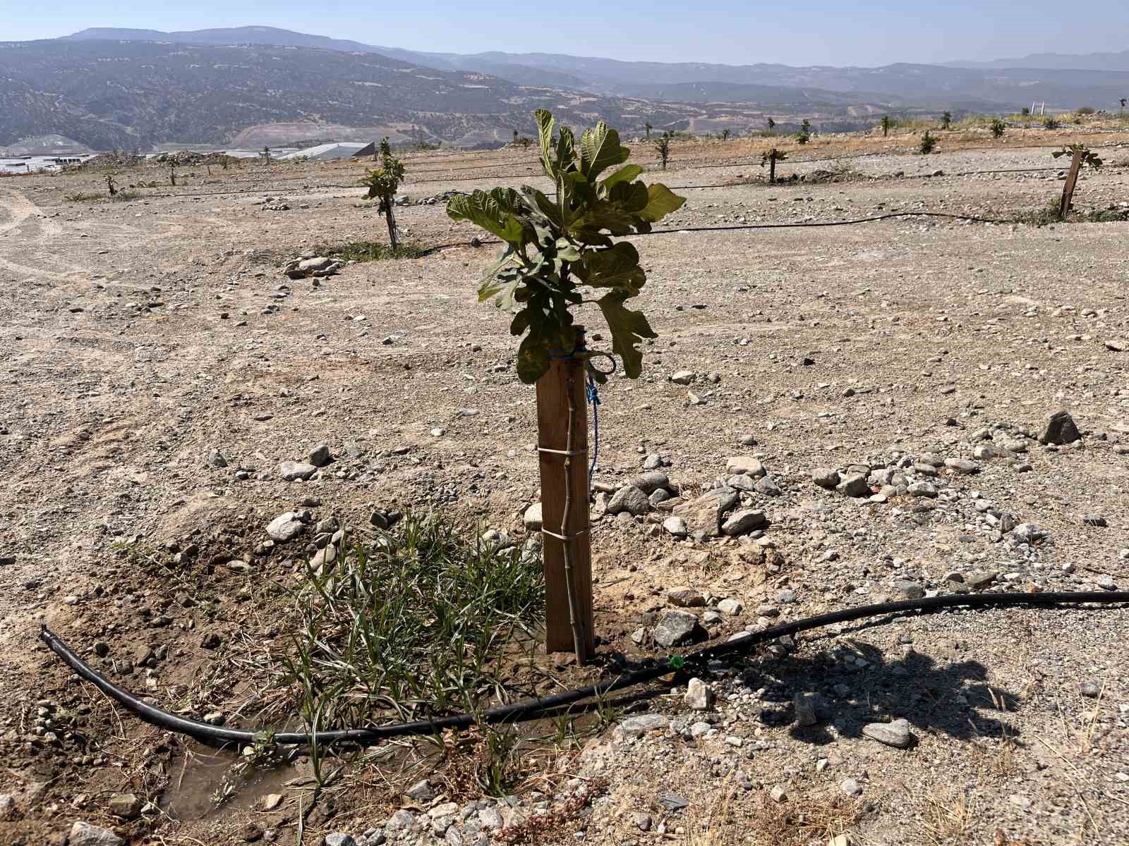 Aydın’ın İlek Bahçeleri 21 Ocak’ta törenle hizmete açılıyor