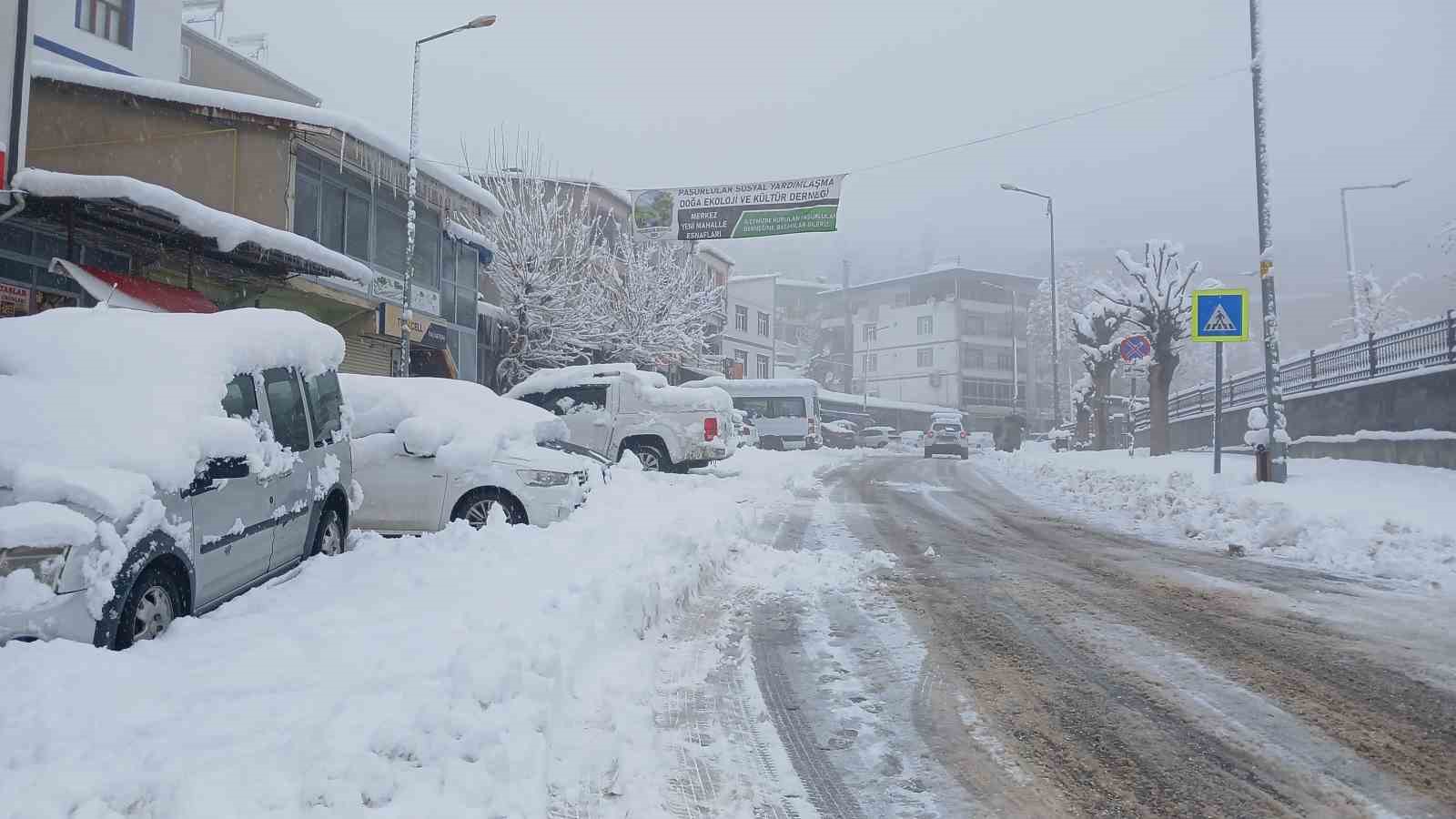 Kulp’ta kar esareti: Köy yolları kapandı, ilçe trafiği kilitlendi