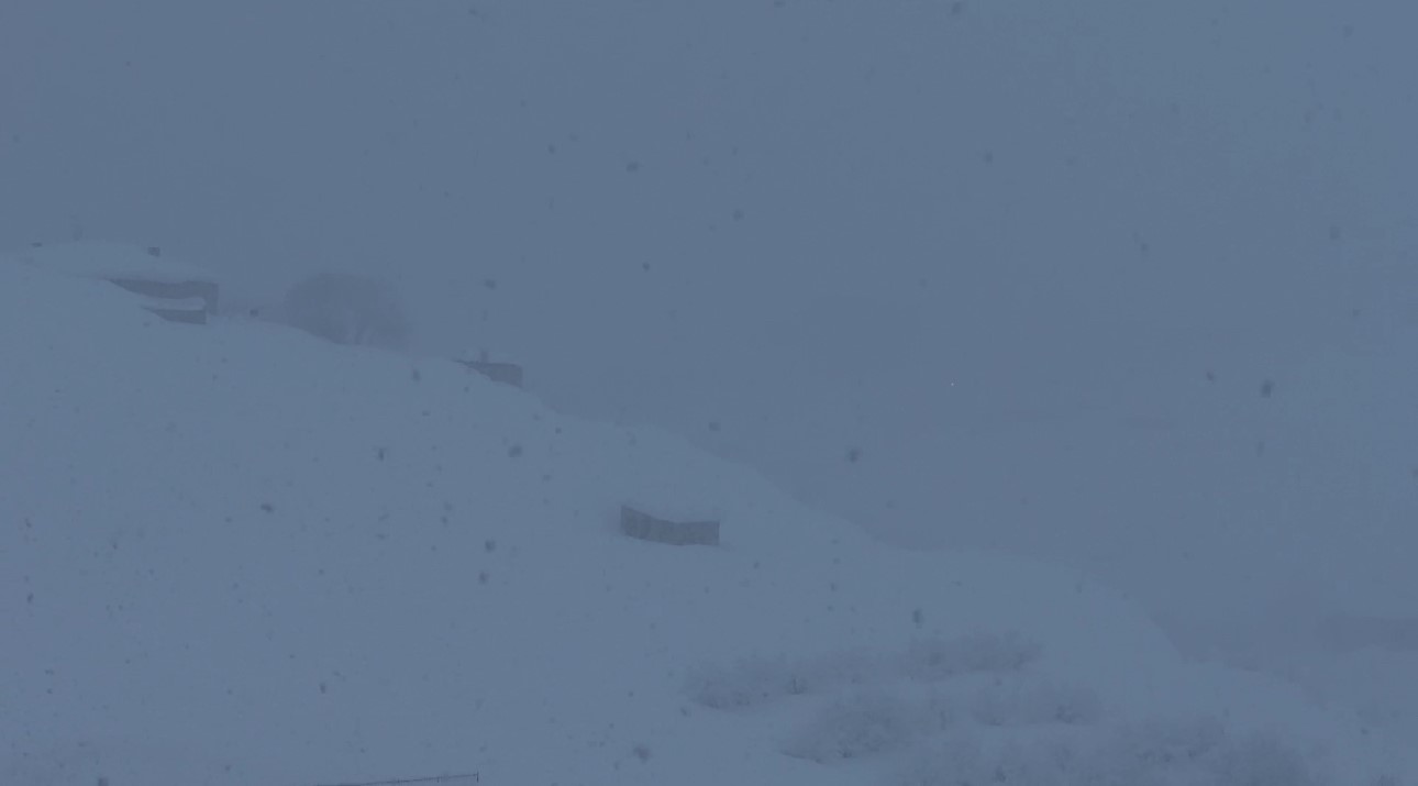 Yüksekova’da kar yağışı ve sis ulaşımı aksatıyor