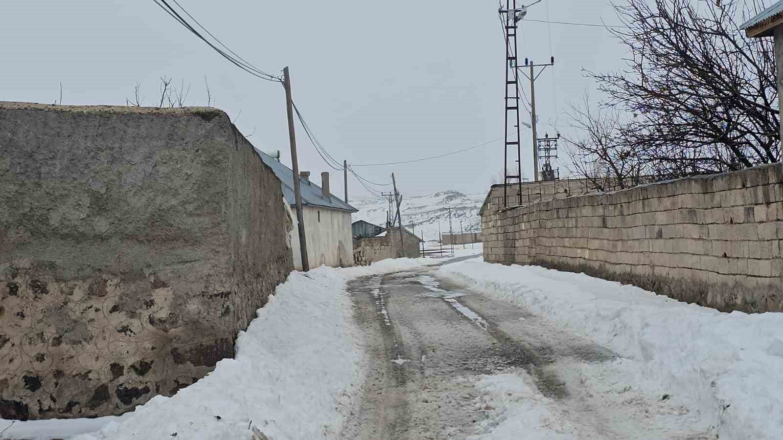 Adilcevaz’da kuduz alarmı: Bir köy karantinaya alındı