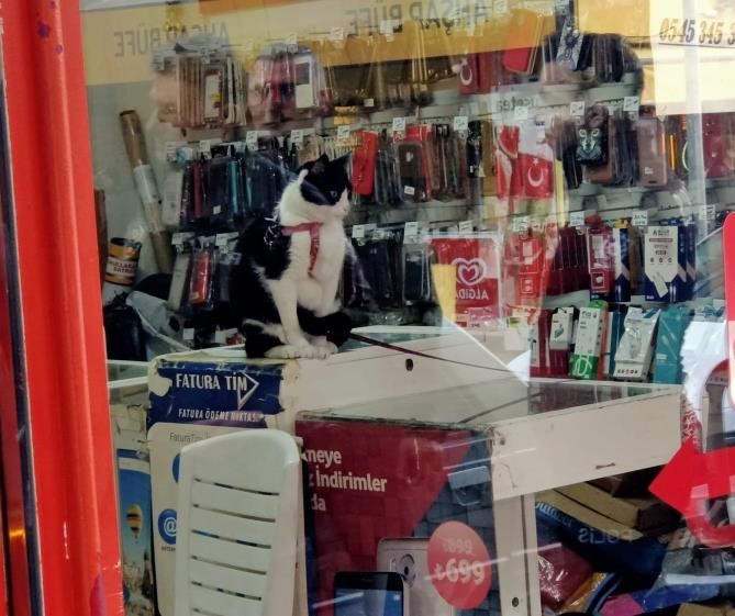 Hayatından endişe edildi, cezaevinde olduğu ortaya çıktı