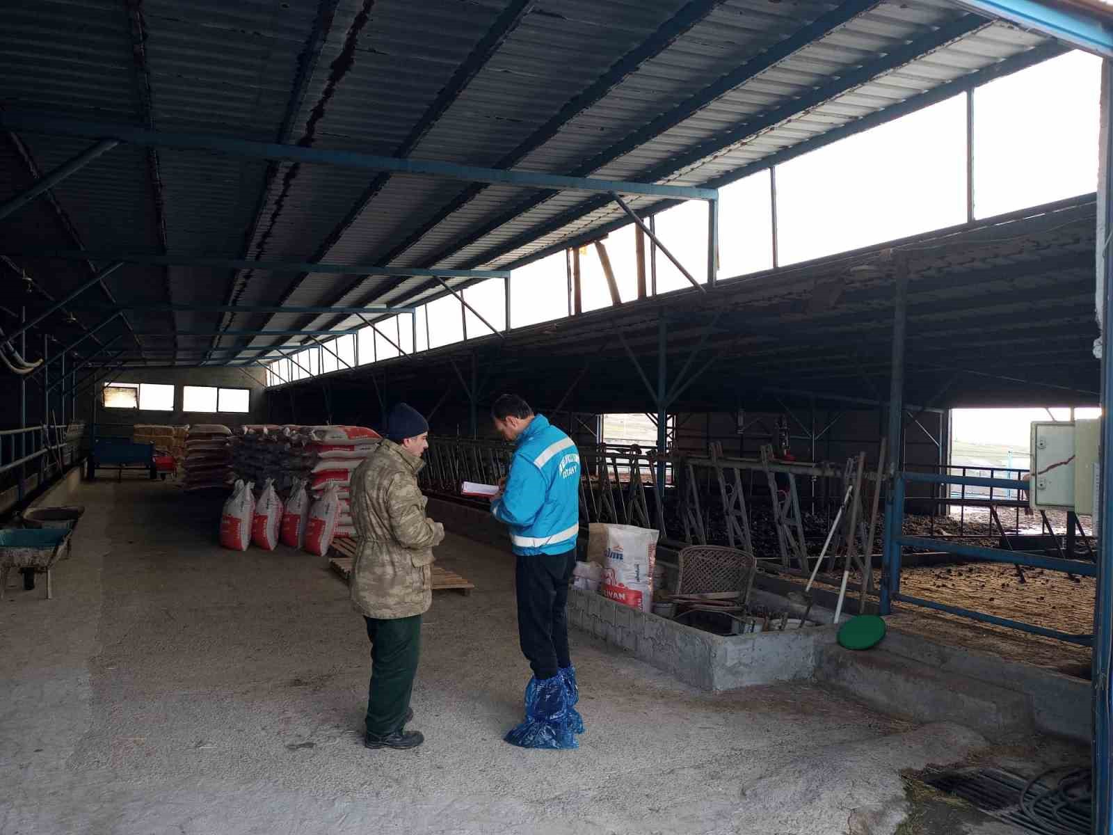 Kütahya’da hayvancılık işletmelerine yönelik kapasite tespiti sürüyor