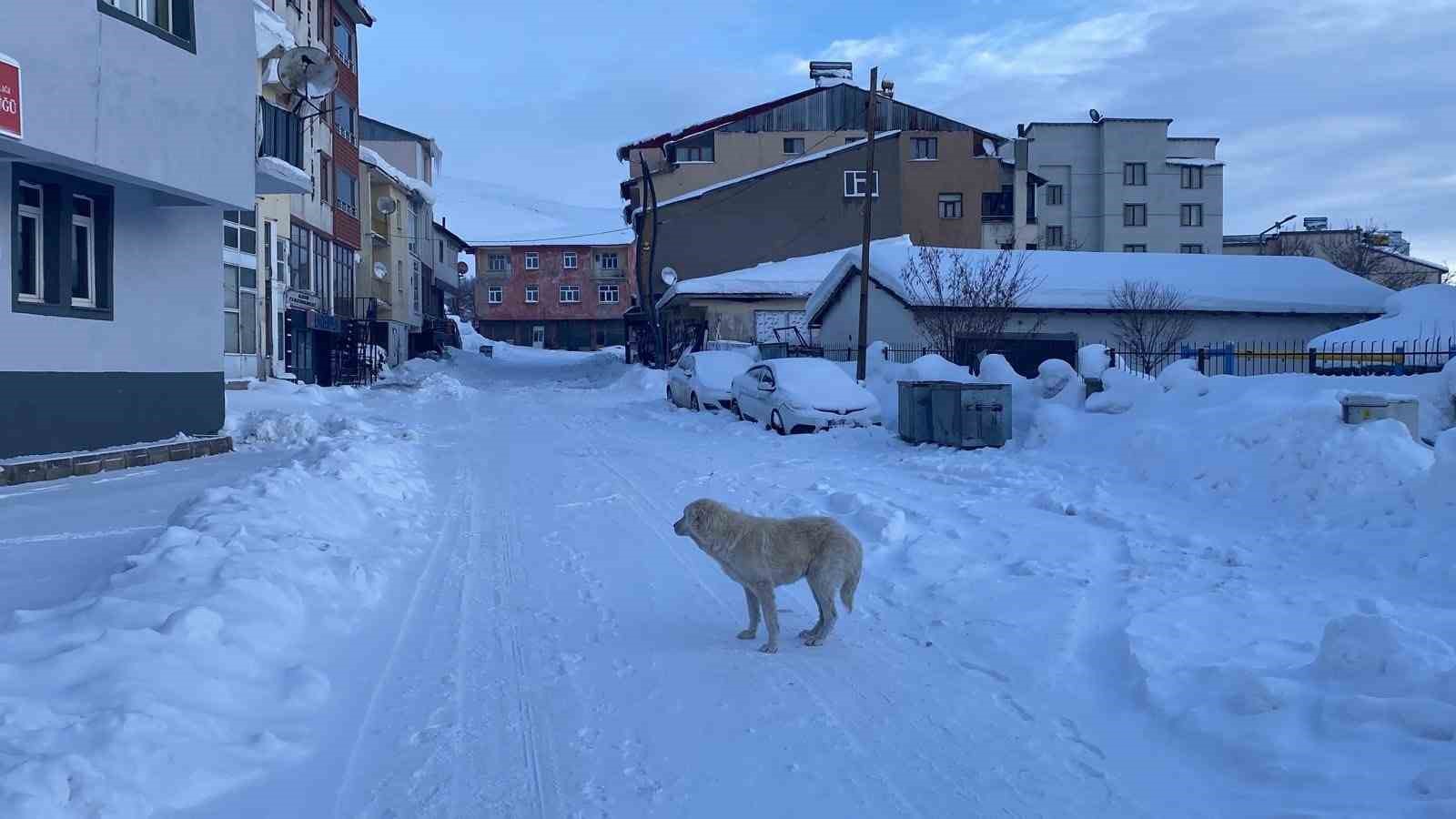 Kar ve buzla kaplı Karlıova sessizliğe büründü