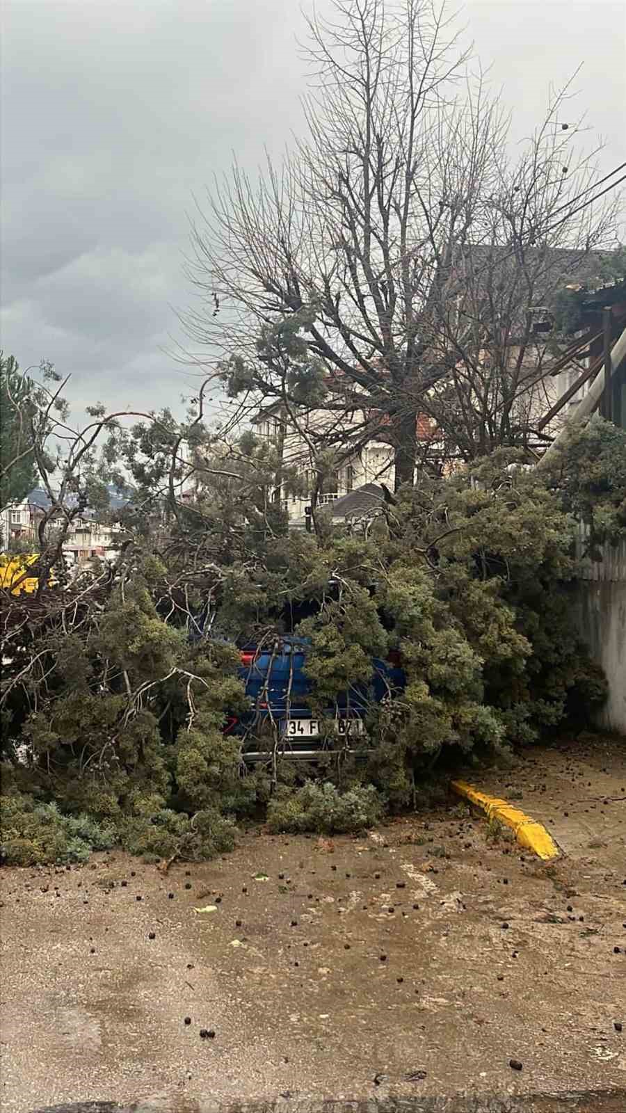 Kocaeli’yi fırtına vurdu: Evlerin çatıları uçtu, vatandaş tenteyle birlikte savruldu