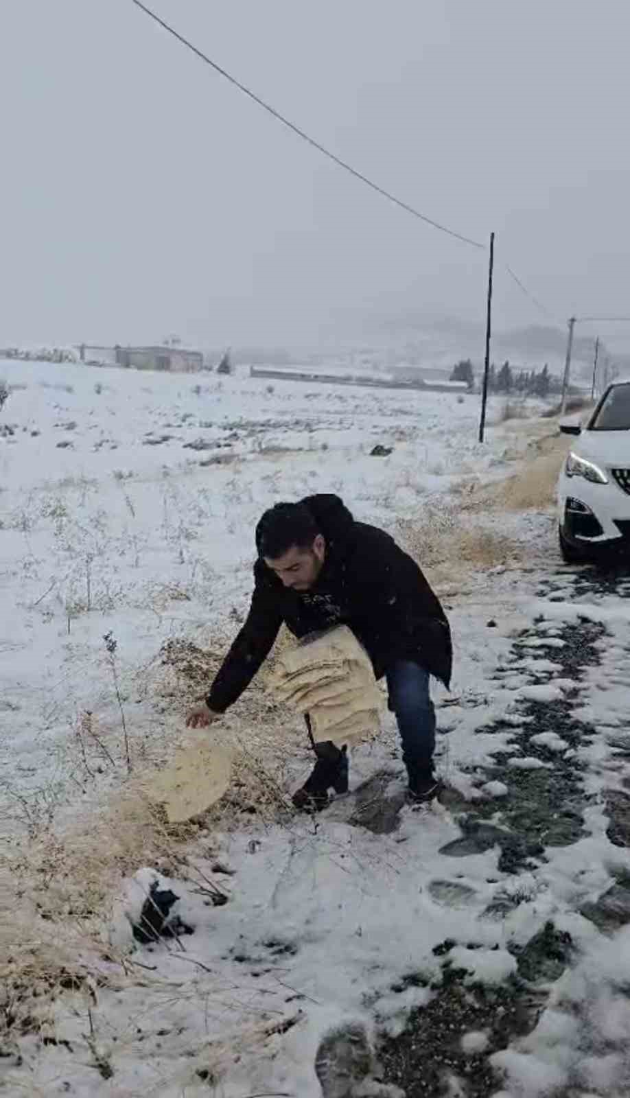 Çermik’te yaban hayvanları için doğaya yem bırakıldı