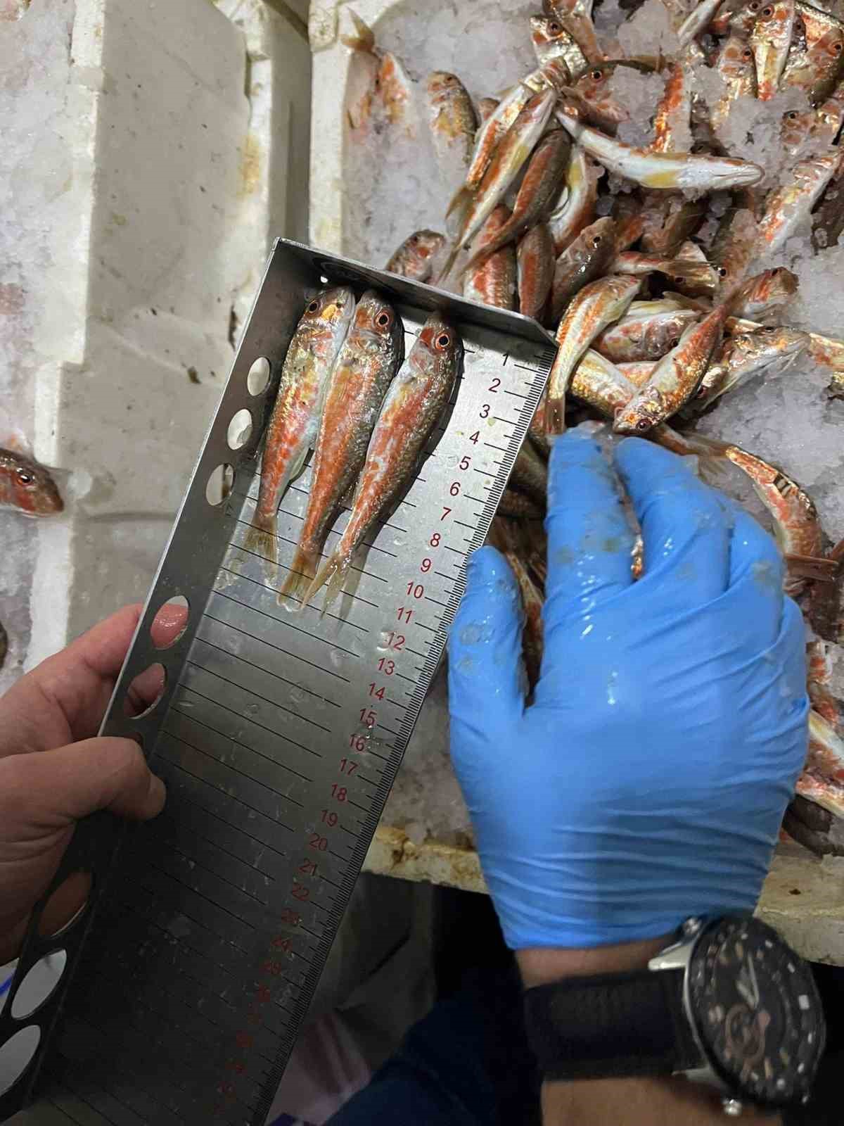 Kastamonu’da usulsüz avlanan 1 ton 335 kilogram balığa el konuldu