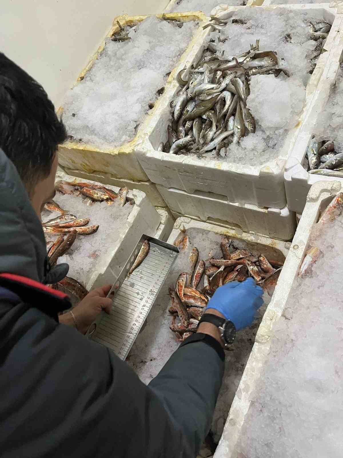 Kastamonu’da usulsüz avlanan 1 ton 335 kilogram balığa el konuldu