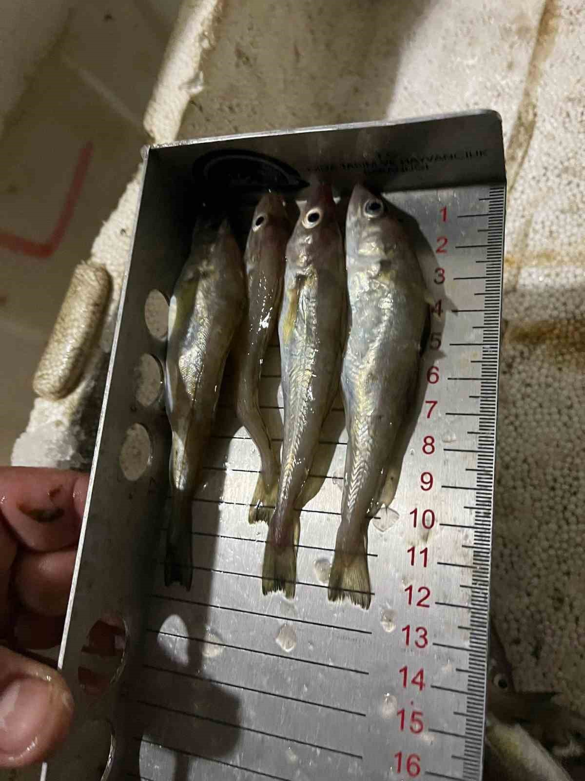 Kastamonu’da usulsüz avlanan 1 ton 335 kilogram balığa el konuldu