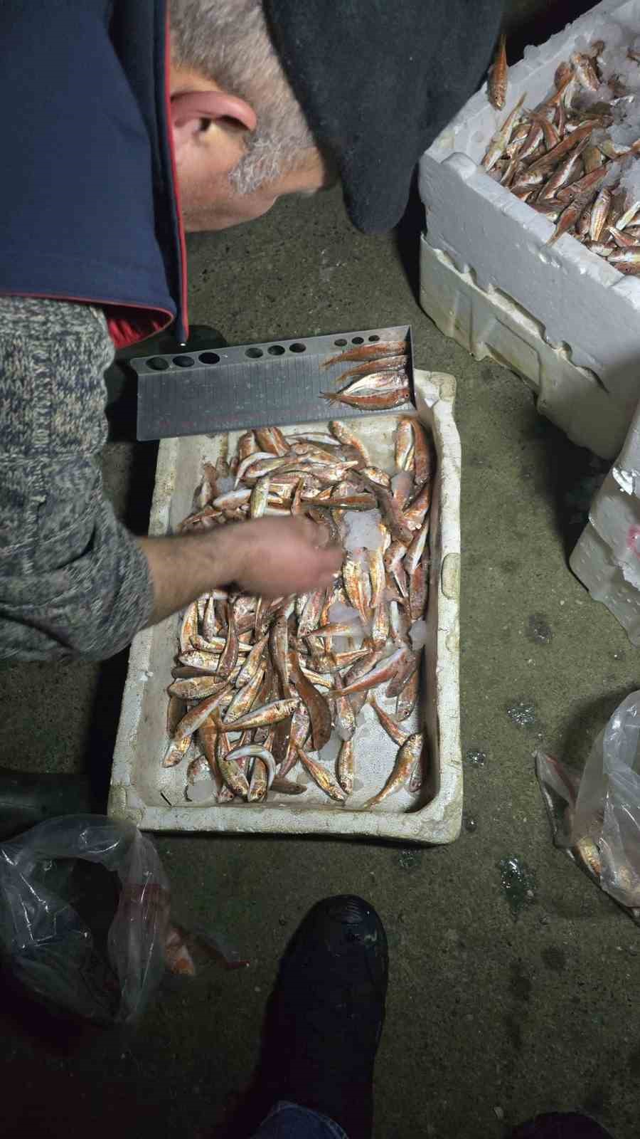 Kastamonu’da usulsüz avlanan 1 ton 335 kilogram balığa el konuldu