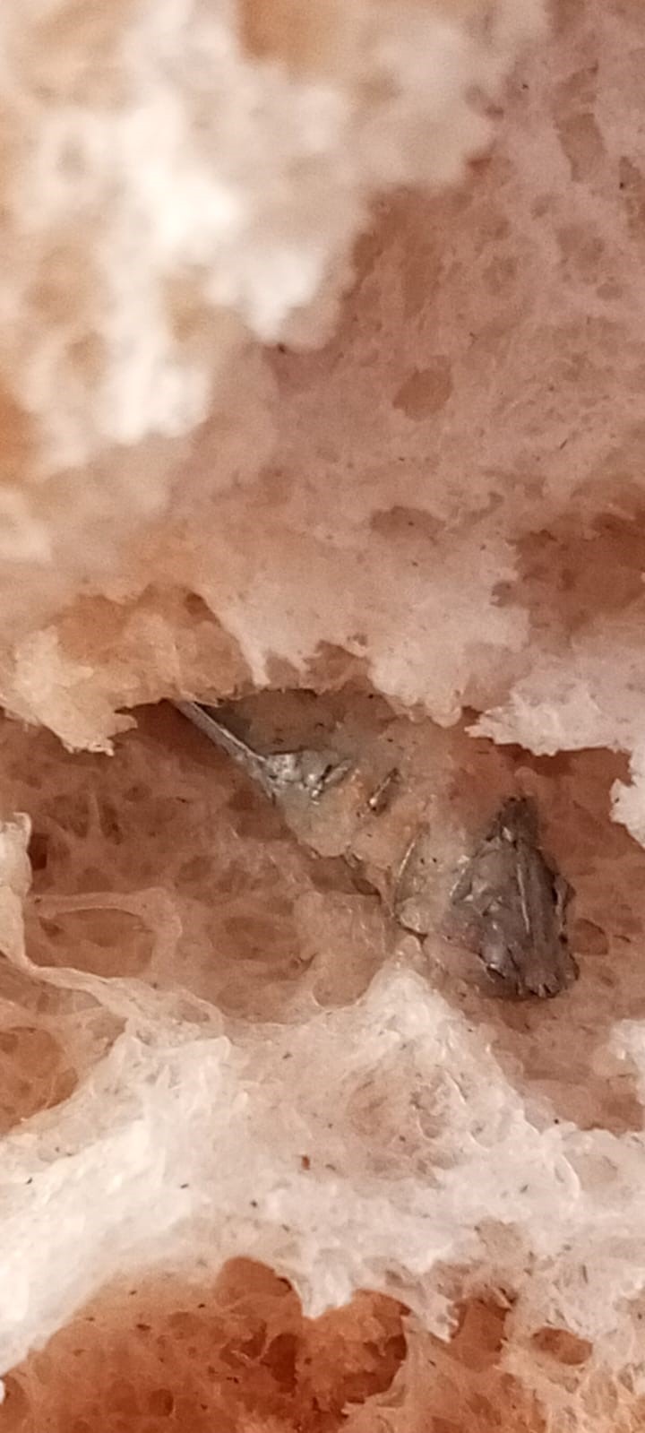 Fırından alınan ekmeğin içinden vida çıktı