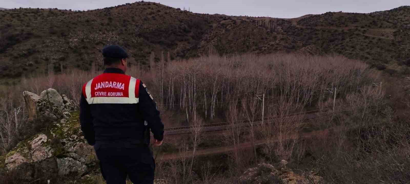 Jandarma ekipleri doğadaki canlıları unutmadı