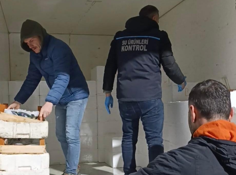 Sansun’da kaçak avlanan 2,6 ton mezgide el konuldu