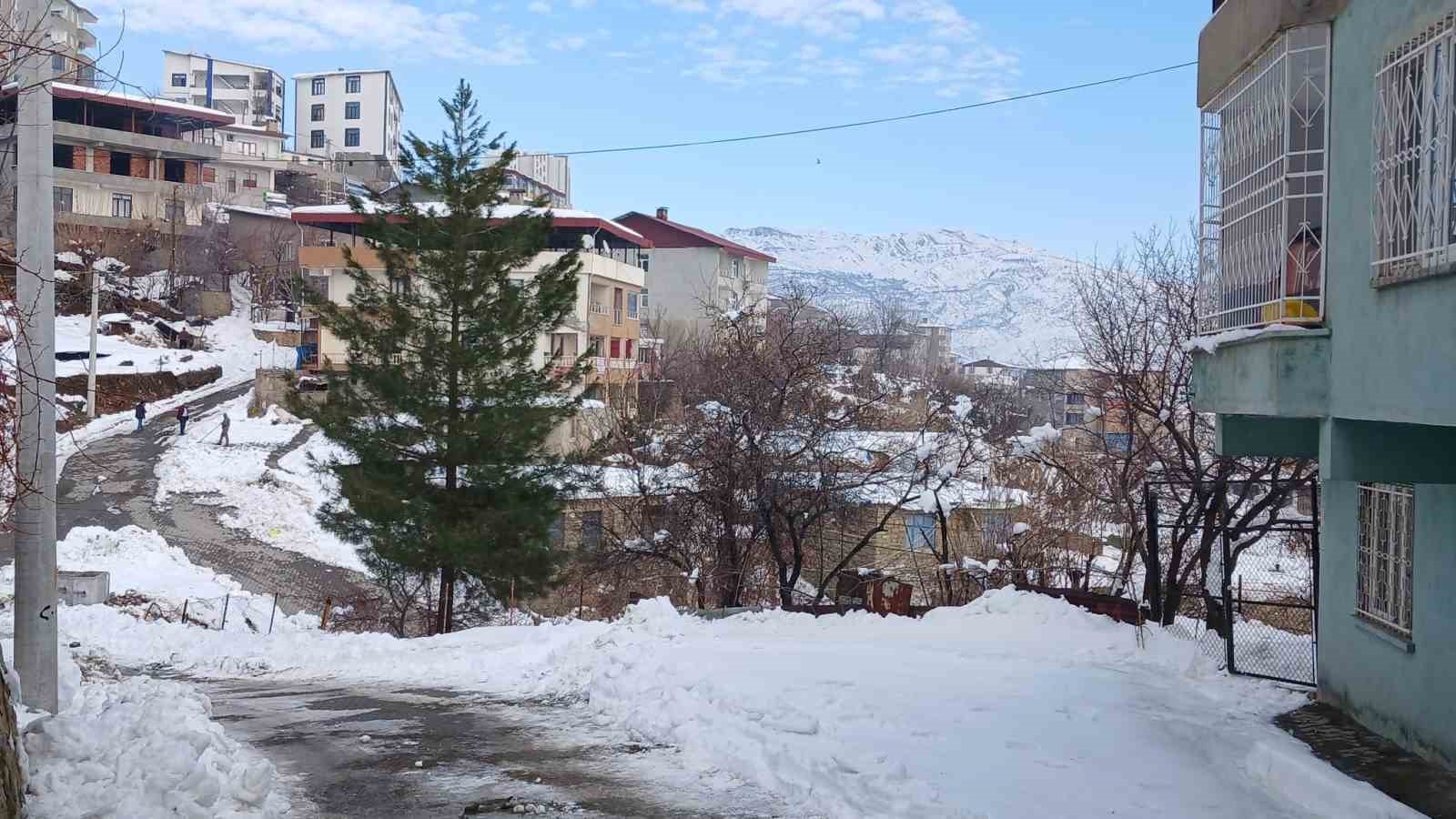 Kulp’ta kış yüzünü sert gösterdi