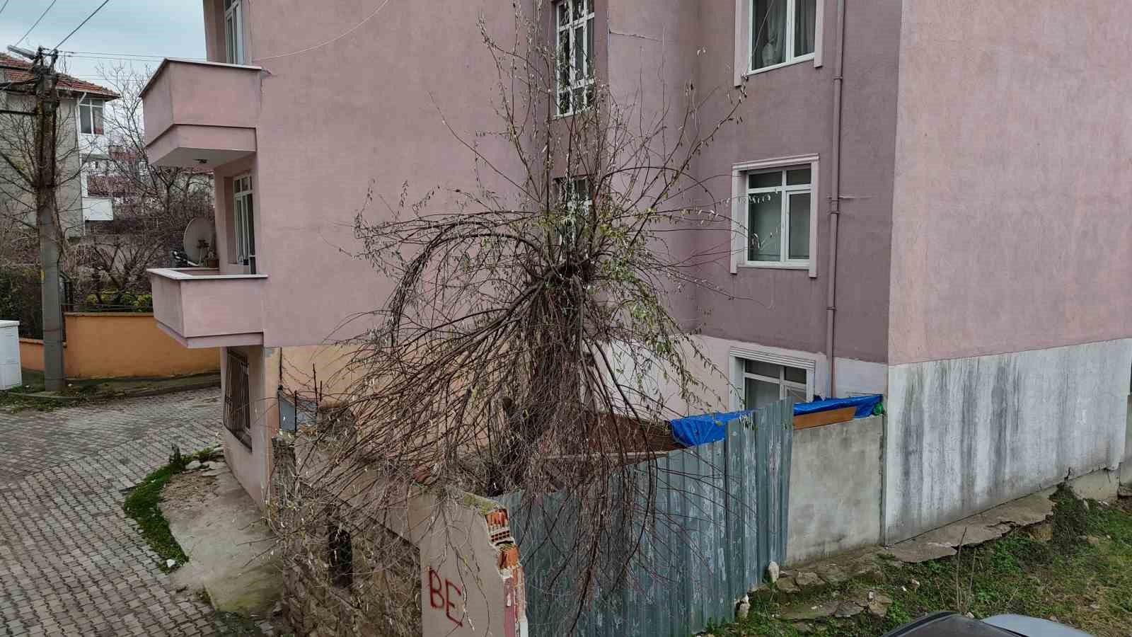 Edirne’de ilginç manzara: Osmanlı dönemi kabri apartman bahçesinde kaldı