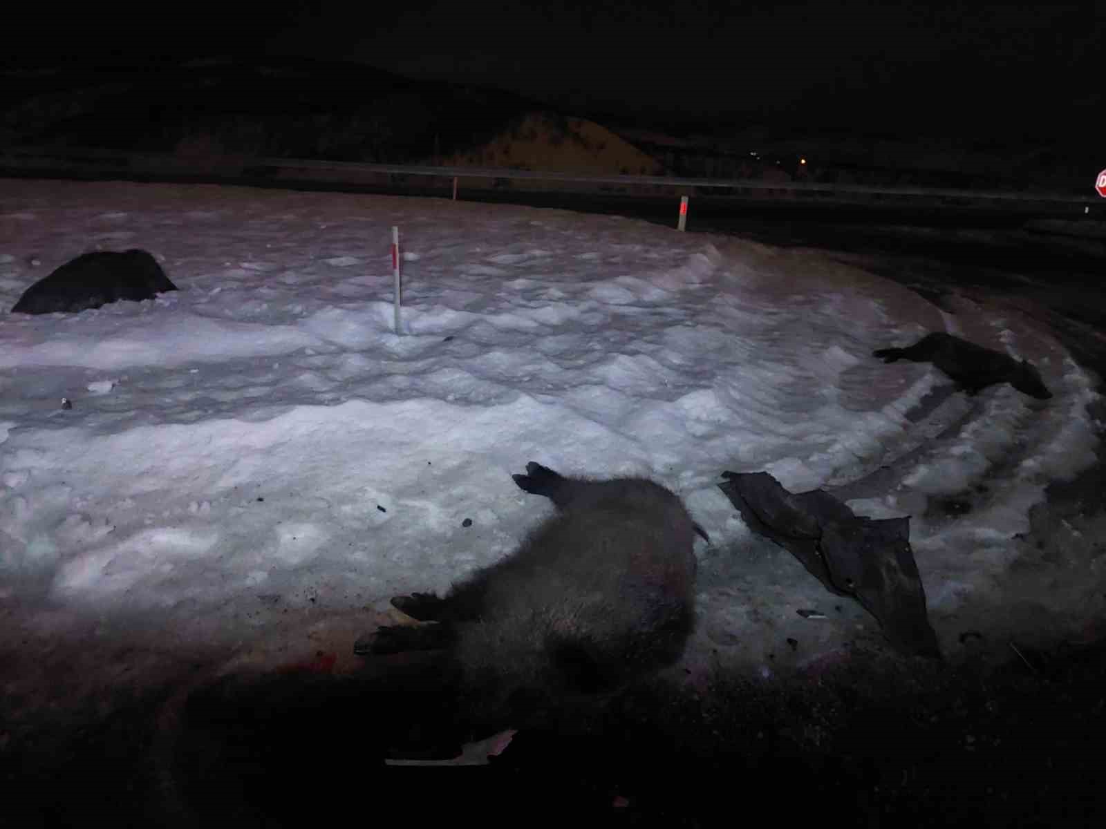 Bingöl’de otomobil domuz sürüsüne çarptı: 3 yaralı