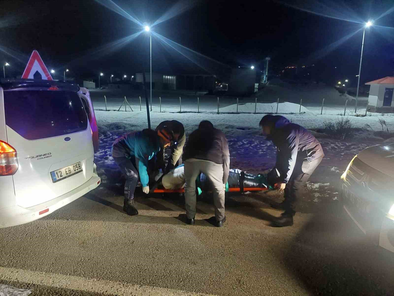 Bingöl’de otomobil domuz sürüsüne çarptı: 3 yaralı