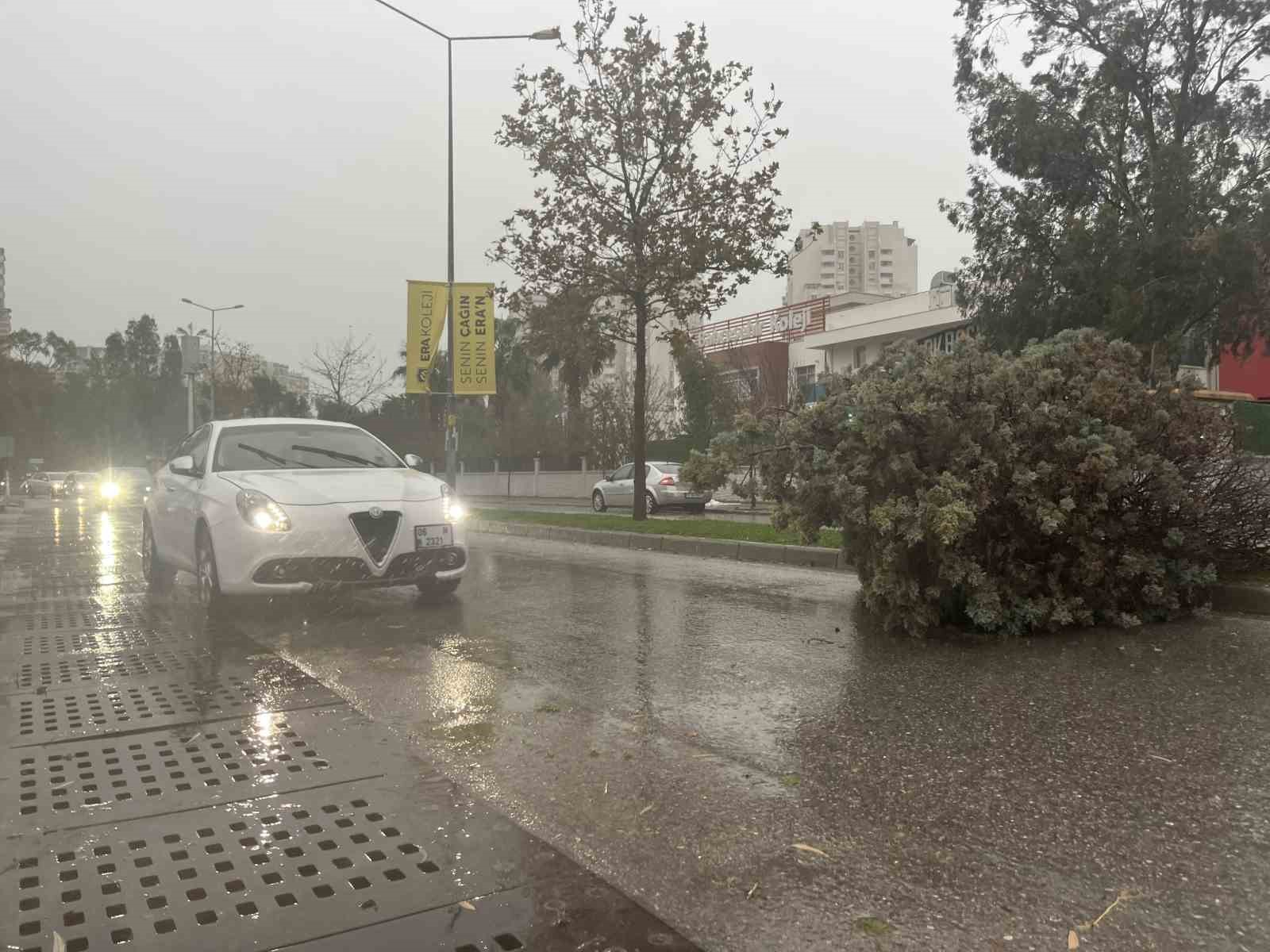 İzmir’de fırtına ağaçları devirdi: 5 araç hasar gördü