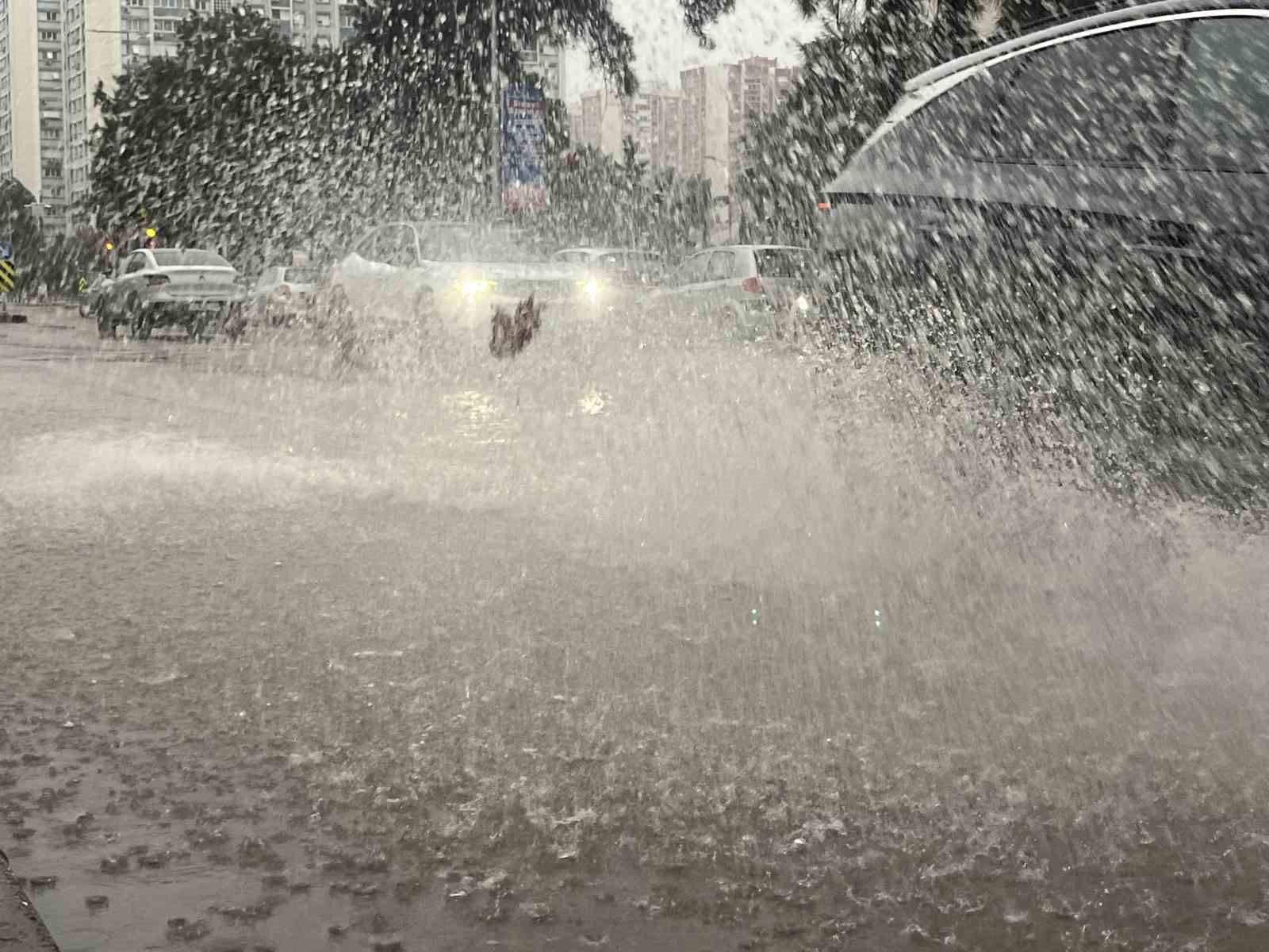 İzmir’de fırtına ağaçları devirdi: 5 araç hasar gördü