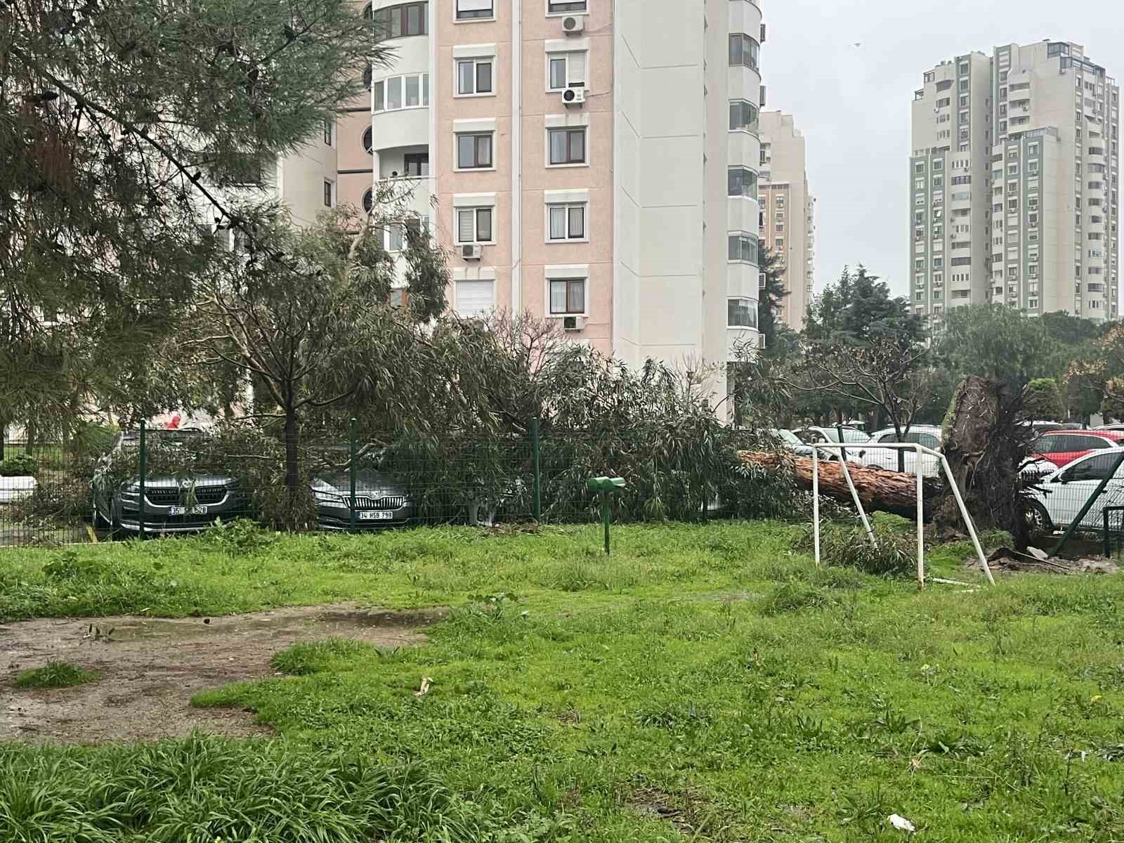 İzmir’de fırtına ağaçları devirdi: 5 araç hasar gördü
