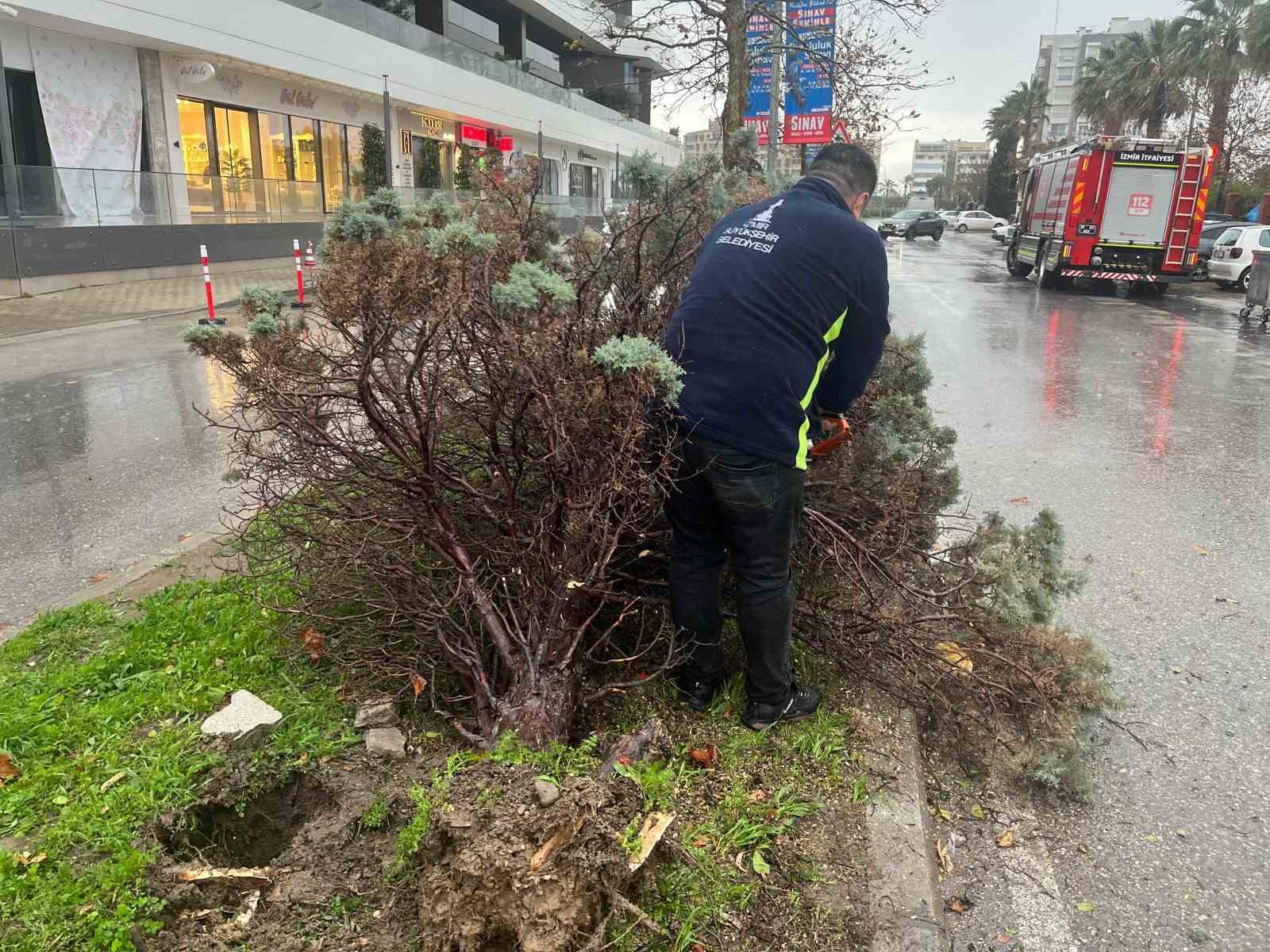 İzmir’de fırtına ağaçları devirdi: 5 araç hasar gördü