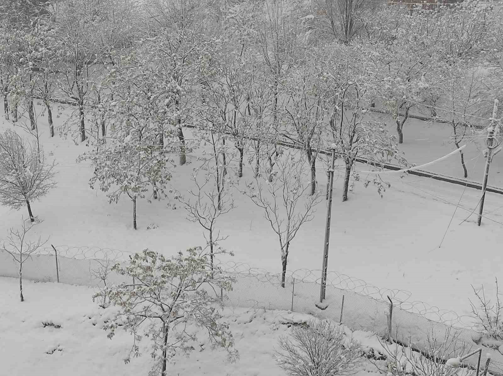 Sason’da yoğun kar yağışı hayatı olumsuz etkiliyor