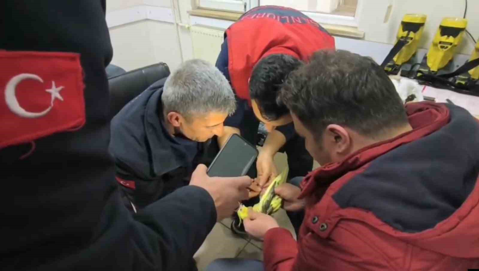 Şanlıurfa’da papağanın ayağına sıkışan halhal itfaiye ekiplerinin operasyonuyla çıkarıldı