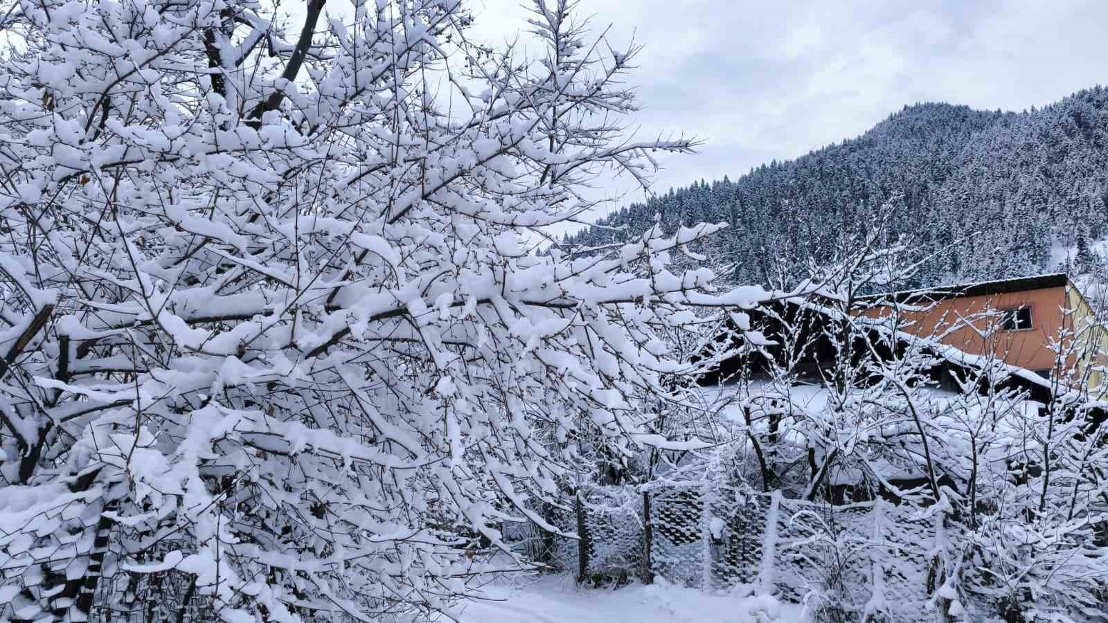 Artvin’de kar yağışı nedeniyle 34 köy yolu ulaşıma kapandı