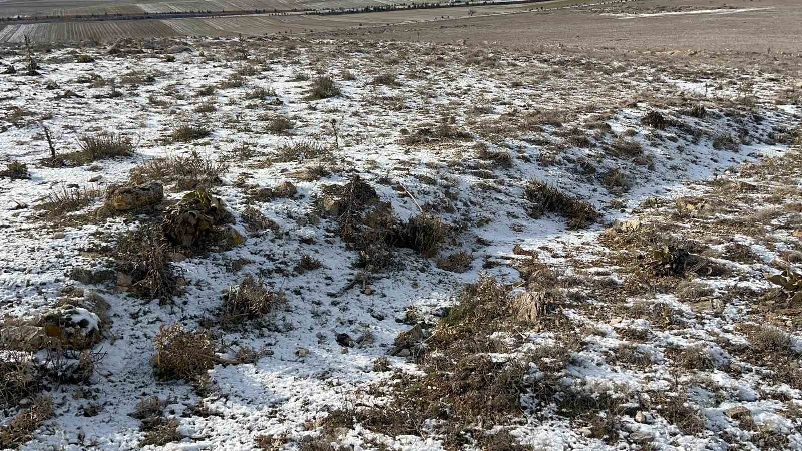 Eskişehir’deki köyde ilginç arazi sıkıntısı