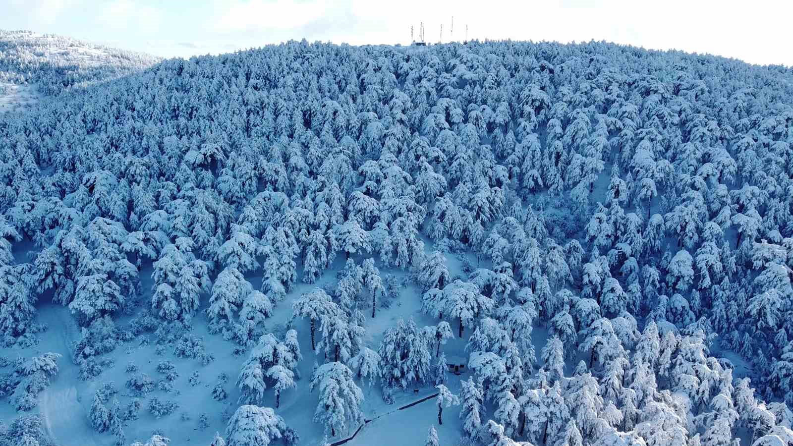 Türkiye’nin ilk Milli Parkı Çamlık’ta kar manzarası havadan görüntülendi