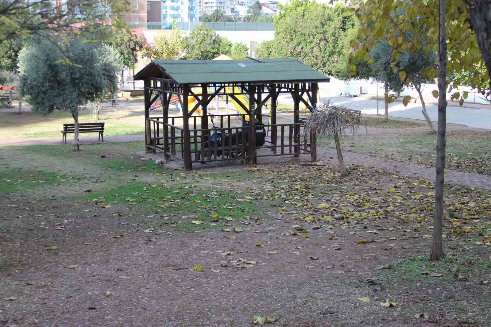 Kurt köpeklerinin saldırı anı kamerada: Küçük köpeği bulunan kadını yere düşürdüler