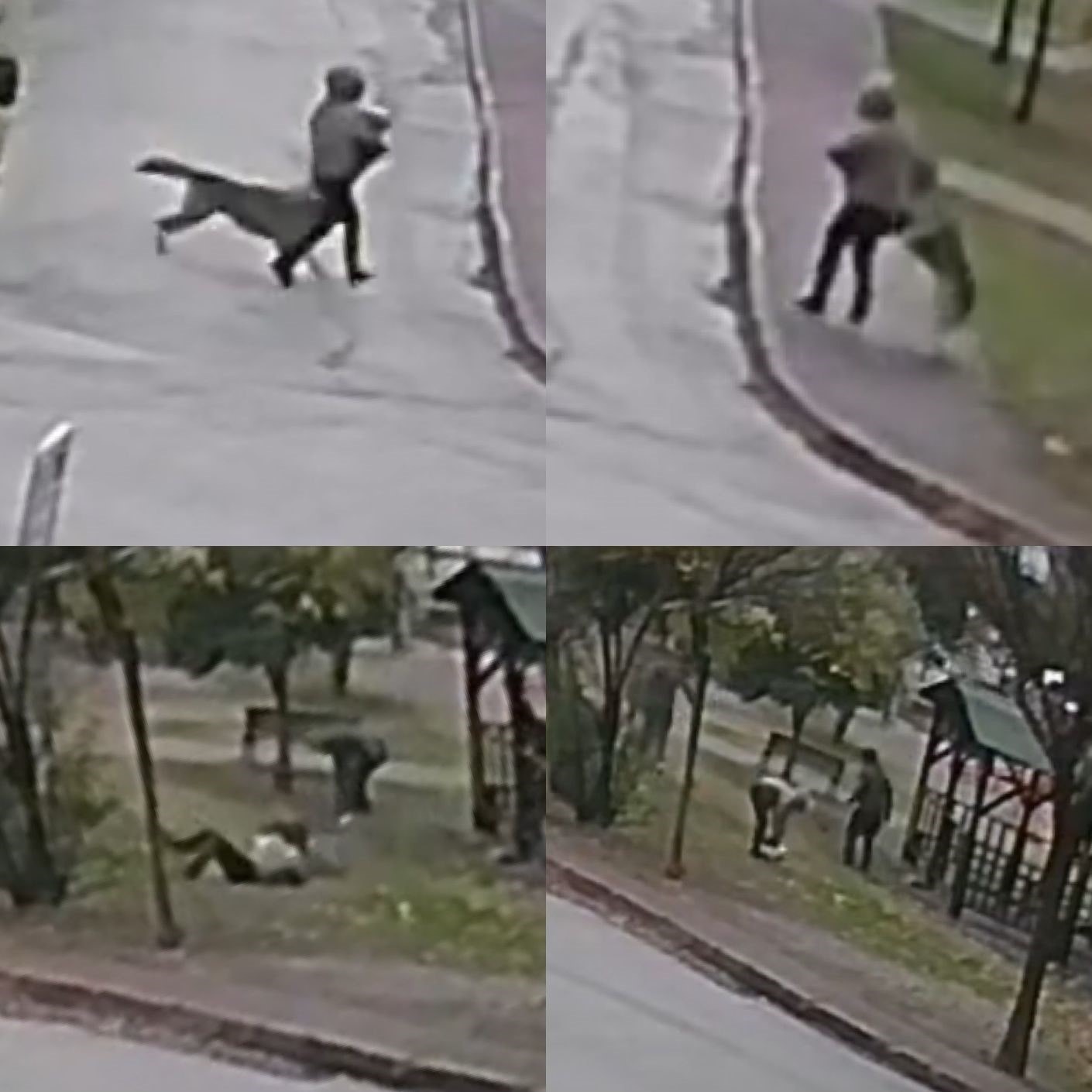 Kurt köpeklerinin saldırı anı kamerada: Küçük köpeği bulunan kadını yere düşürdüler