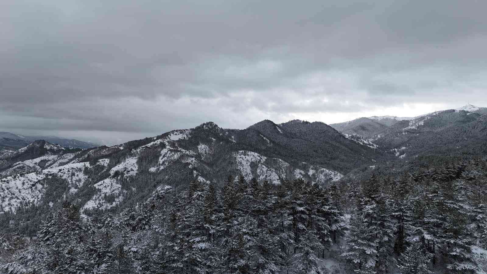 Kastamonu ormanlarında kış güzelliği