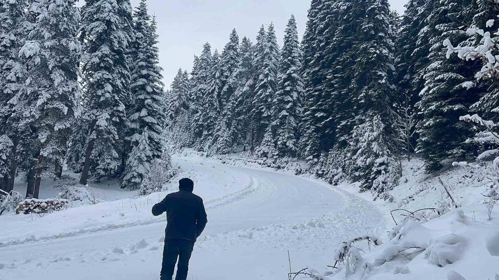 Kastamonu ormanlarında kış güzelliği