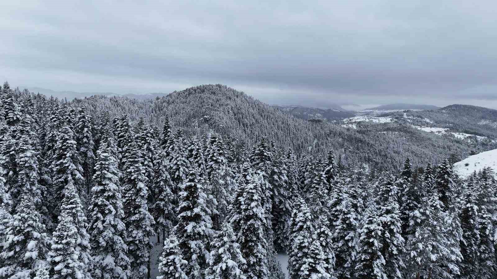Kastamonu ormanlarında kış güzelliği