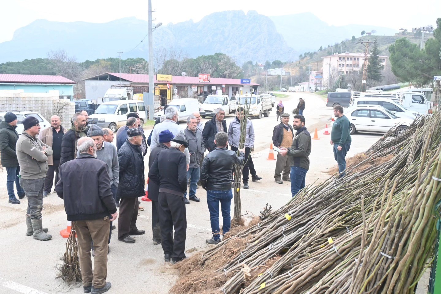 Bilecik’te üreticilere 4 bin 839 fidan desteği