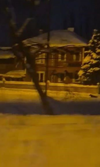 Sivas’ta kurtlar tedirgin etmeye başladı