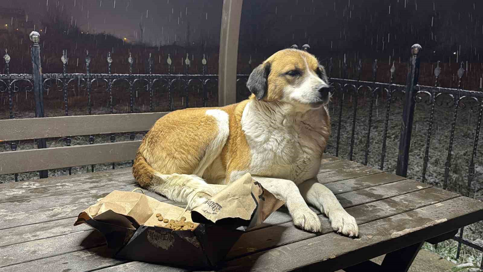 Gazetecilerden duyarlı davranış