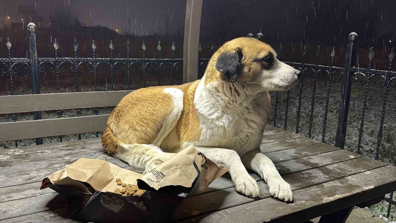 Gazetecilerden duyarlı davranış