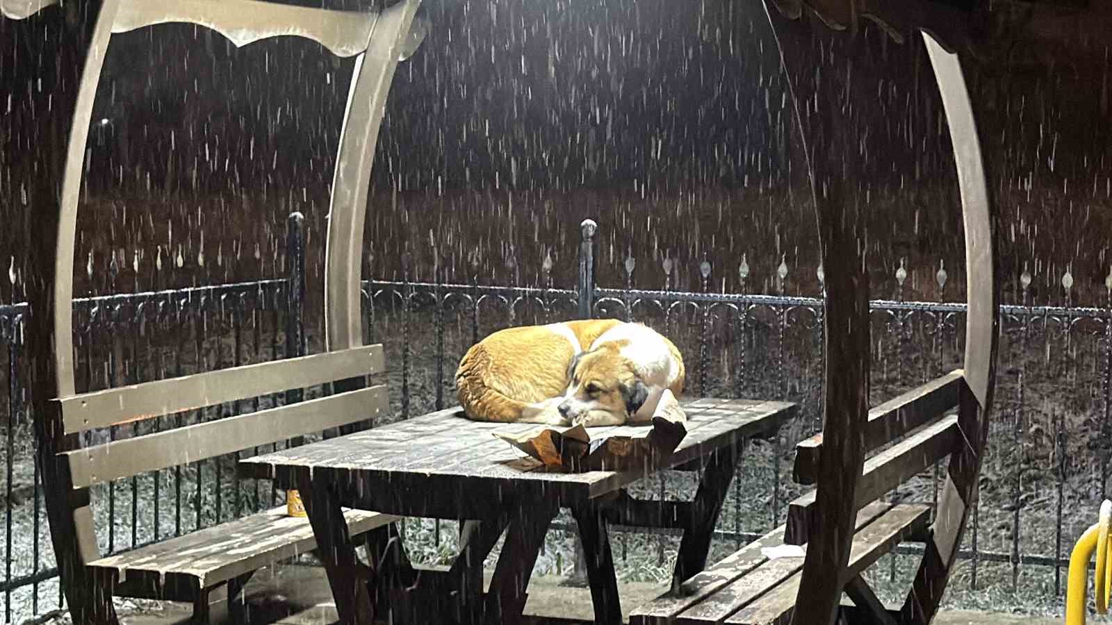 Gazetecilerden duyarlı davranış