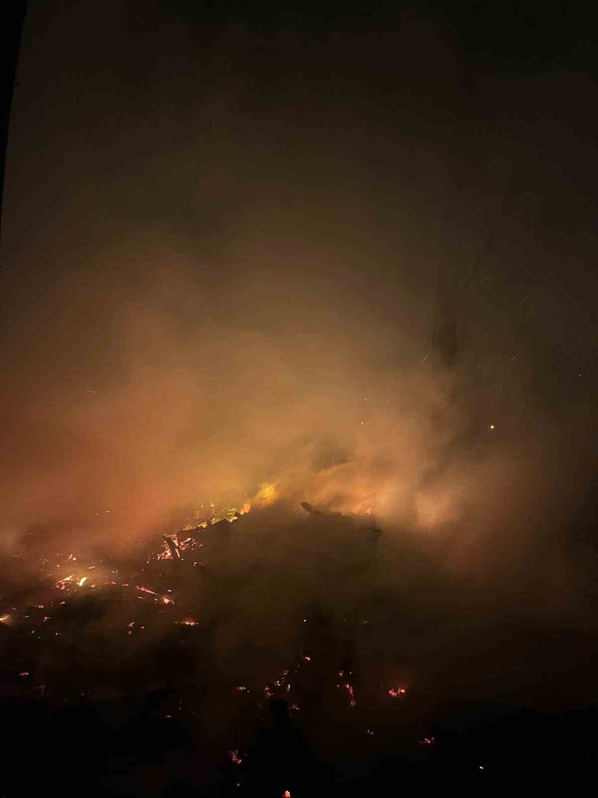 Filyos’ta ağaçlık alanda çıkan yangın korkuttu