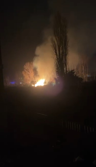 Filyos’ta ağaçlık alanda çıkan yangın korkuttu