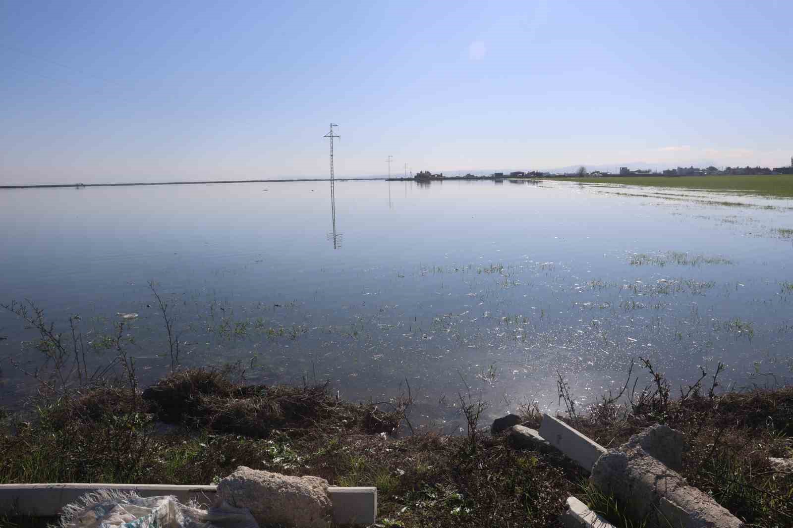 Son 65 yılın en kurak yılını geride bırakan Hatay’da etkili olan yağışla tarım arazileri su altında kaldı