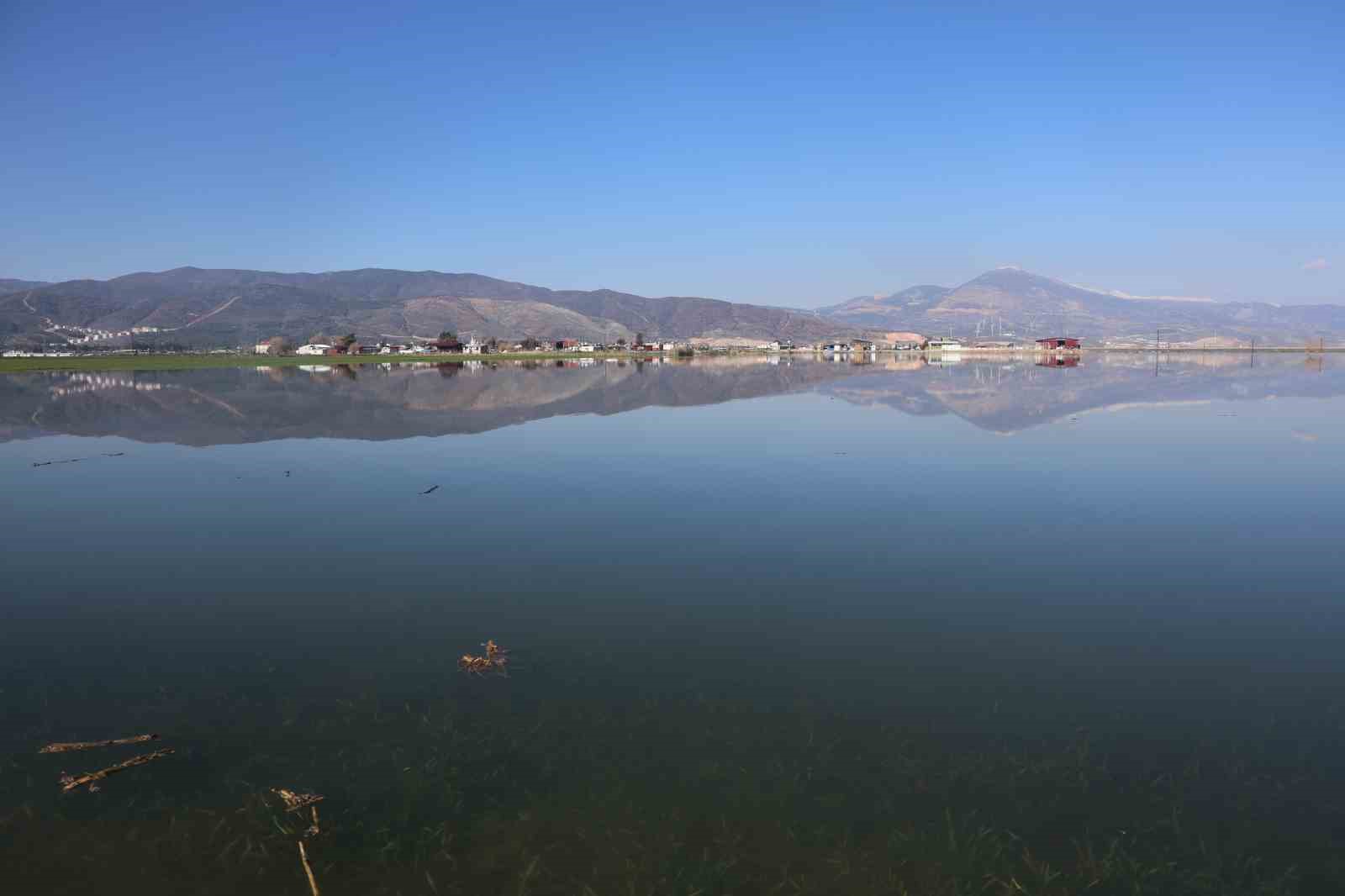 Son 65 yılın en kurak yılını geride bırakan Hatay’da etkili olan yağışla tarım arazileri su altında kaldı