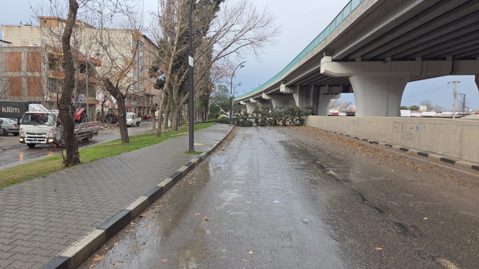 Salihli’yi fırtına vurdu, ağaçlar devrildi, çatılar uçtu