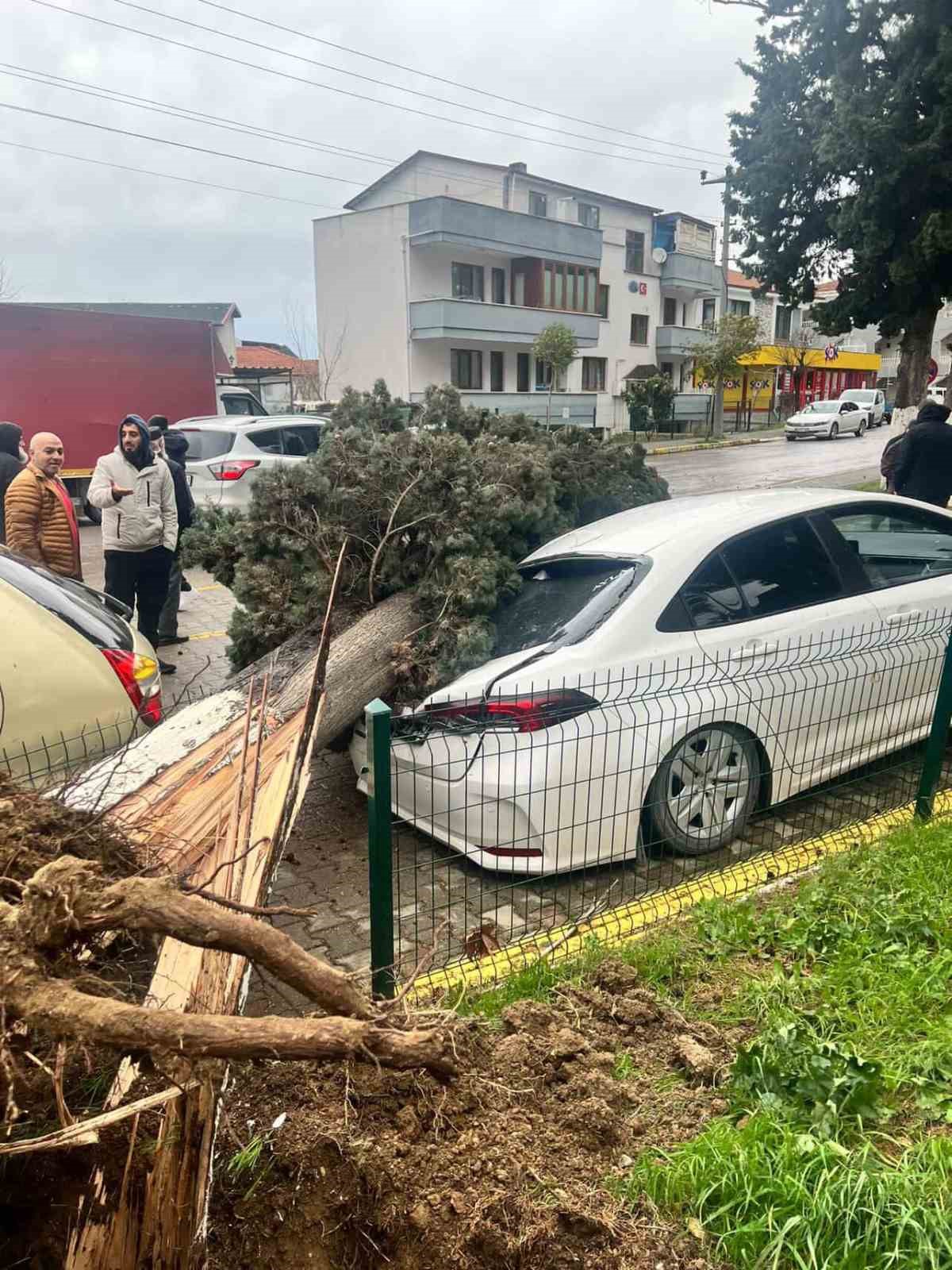 Yalova’da fırtına hayatı olumsuz etkiliyor