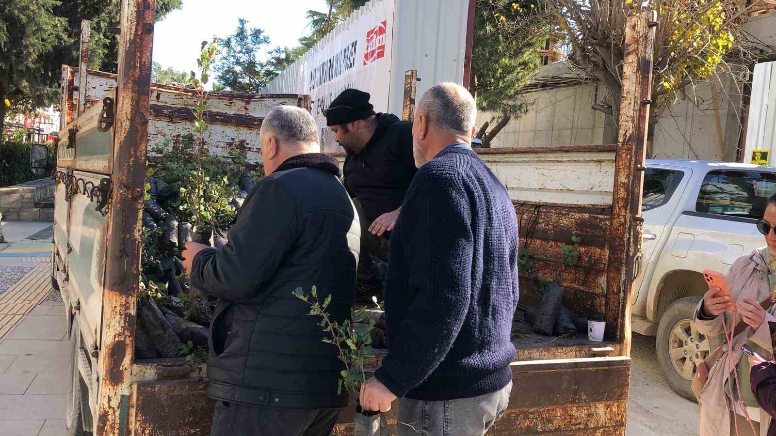 Mahalle muhtarından Datça’ya 2 bin harnup fidanı