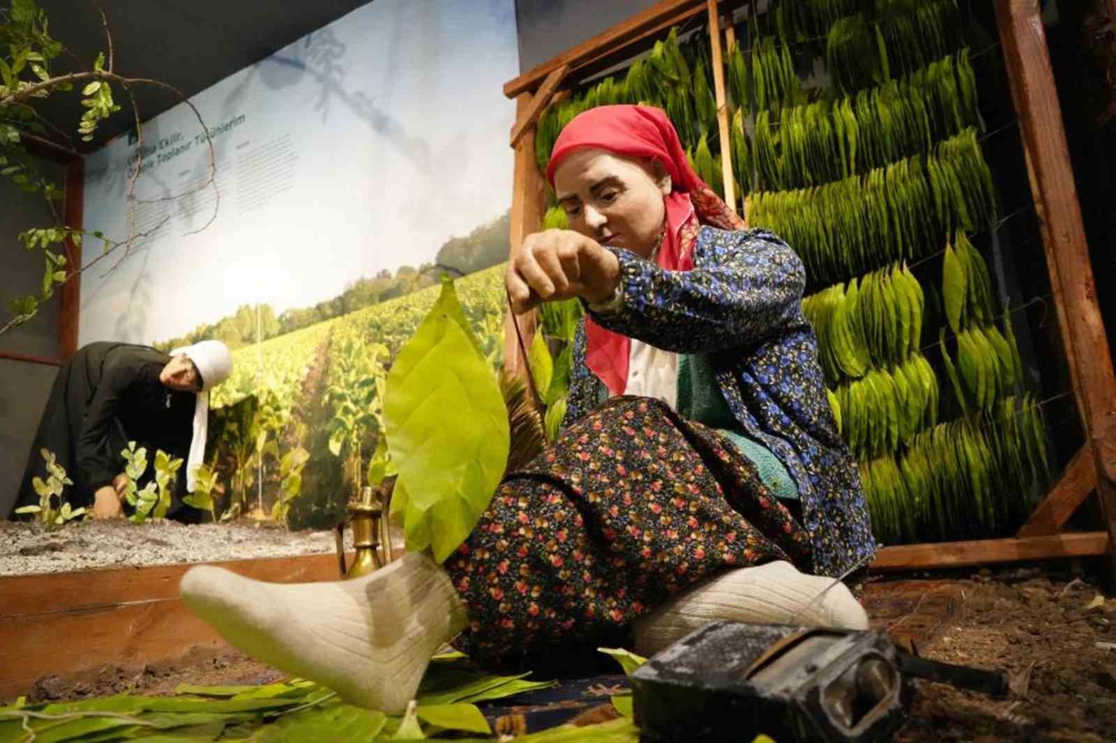 Samsun’da müzeleri yarım milyondan fazla kişi gezdi